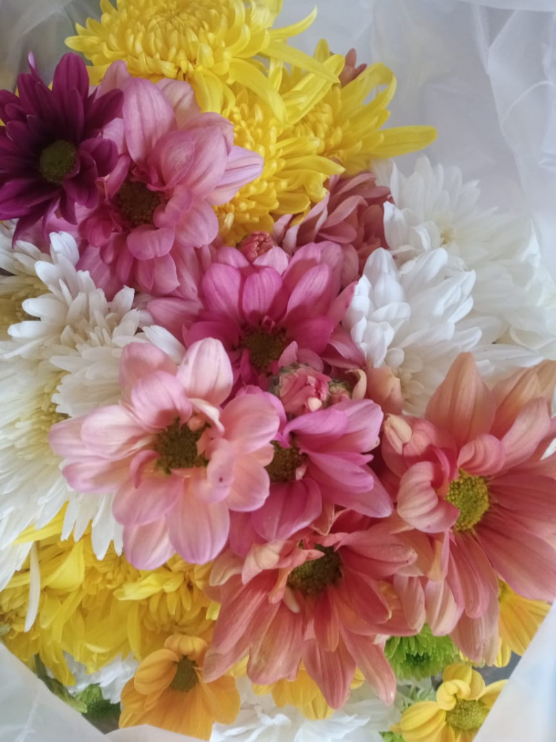 WhatsApp Image 2023-05-26 at 11.01.39 (1).jpeg