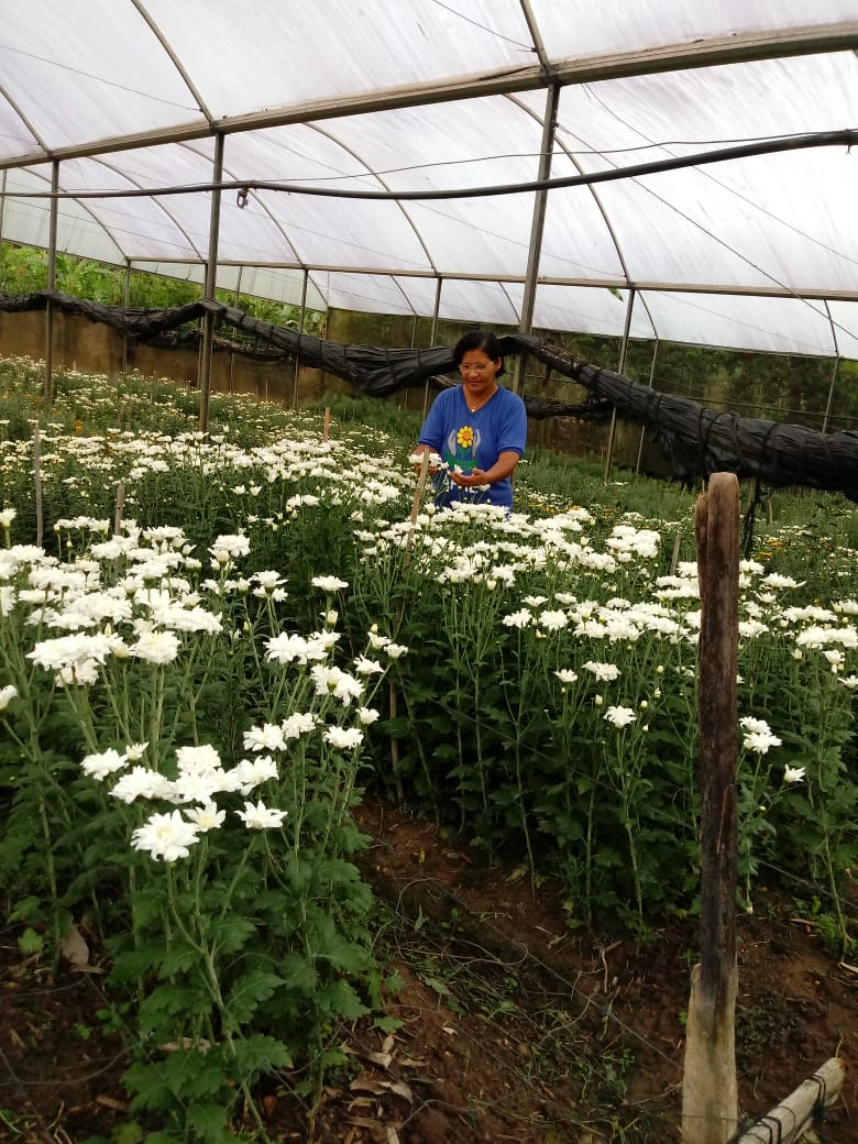 WhatsApp Image 2023-05-26 at 11.01.41 (1).jpeg